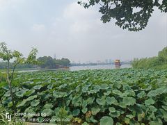 -济南大明湖景区