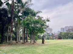 -南宁市凤岭儿童公园