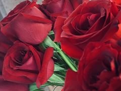 -循礼门鲜花花市(武汉循礼门店)