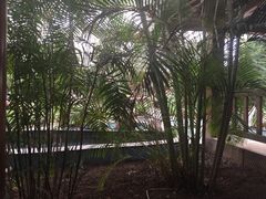-龙达温泉生态城