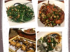 -顺德了能馆(虎门店)