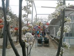 android_upload_pic-兰山公园