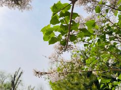 -三里河公园