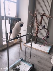 -一个差评成就的纹眉店