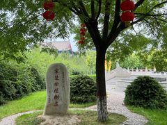 -大槐树寻根祭祖园