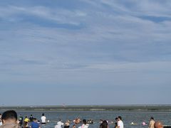 -碧海金沙