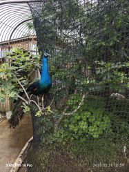 -三分地生态园·儿童乐园