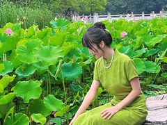 -莲湖公园
