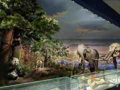 -湖南省地质博物馆