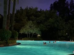 -麒麟中餐厅·经典粤菜·地道菜式老字号(广州长隆酒店)