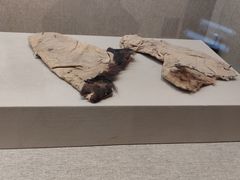 -敦煌市博物馆