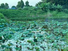-隔田烧鸡