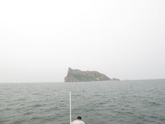 -长岛万鸟岛