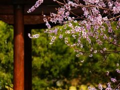 -三里河公园