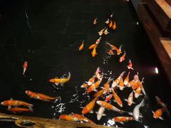 -顺丰国宴(工业博物馆店)