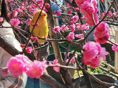 -红螺寺