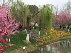 -圩墩遗址公园