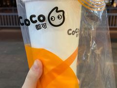 -CoCo都可(十全东店)