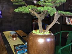 -观唐足道SPA养生会馆(南湖店)