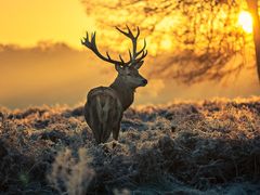 -振生清真饭店(永安道店)