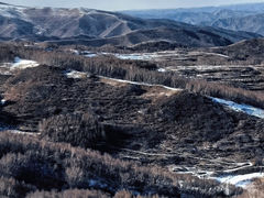 -多乐美地滑雪场