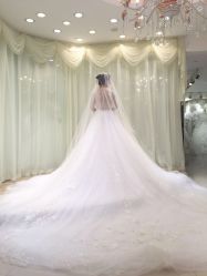 -艾米丽婚纱礼服