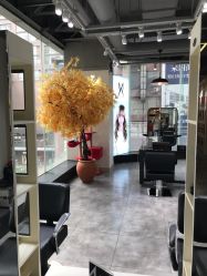 -M Hair造型
