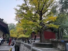 -晋祠公园