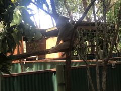-可伦宾野生动物保护区