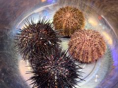 -桃源市场(解放路店)