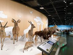 -陕西自然博物馆