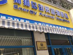 -总动员动物医院(宝丰院店)