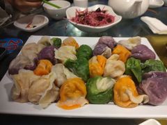 五彩饺子-宝源饺子(麦子店街店)