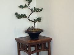 -小茶闲舍·观景商务茶馆(广州塔店)