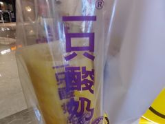 -一只酸奶牛(八一路店)