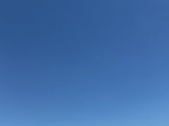 -日照海滨国家森林公园