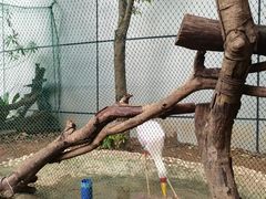 -正佳雨林生态植物园