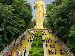 -西双版纳原始森林公园
