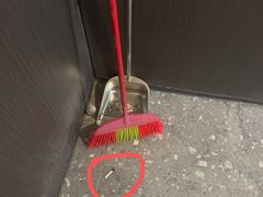 -江味龙虾馆·裸蓝龙虾(南山店)