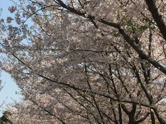 -白塘生态植物园