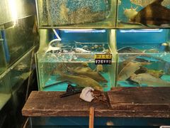 水产区-老宋家鱼馆(北滨路店)