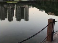 -重庆彩云湖湿地公园