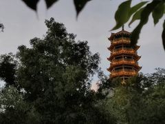 -红花山公园