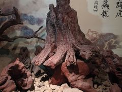 -蒋氏故居