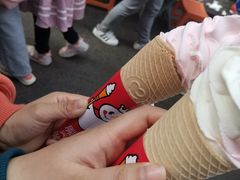 -蜜雪冰城·冰淇淋与茶(长郡中学店)