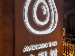 -油梨树AVOCADO TREE(嘉里中心店)