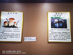 -菌之家·专业纯野生菌火锅·特色炒菌