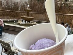 薰衣草蓝莓冰淇淋-潮一不贰·法式甜品·生日蛋糕·西式简餐(外滩店)