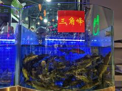 -蛙一刀·麻椒鱼火锅(金仙桥店)