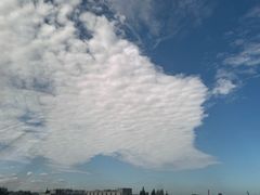 -沈坚强游泳俱乐部(长征分部)